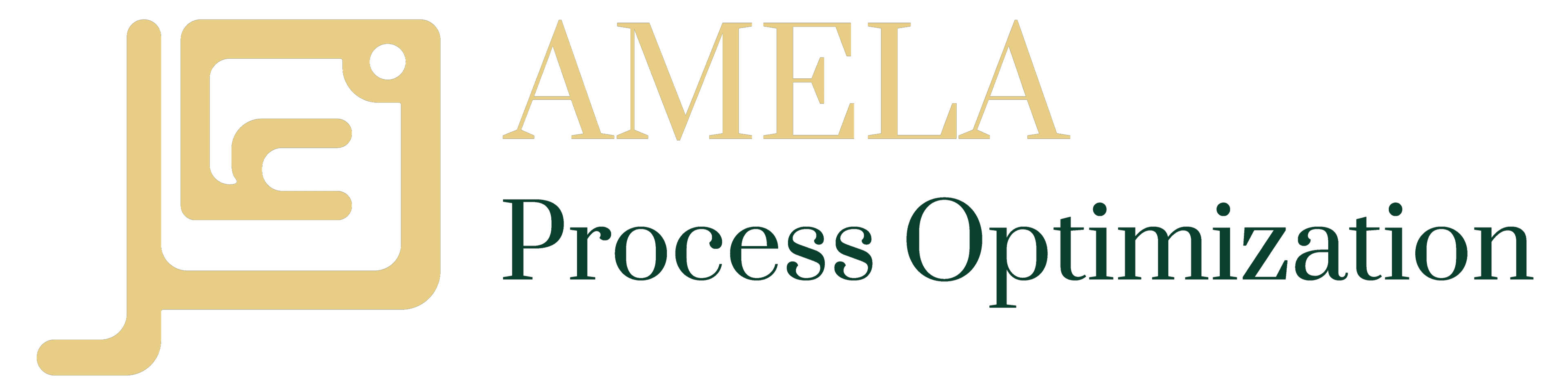 AMELA Process Optimization