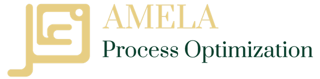 AMELA Process Optimization