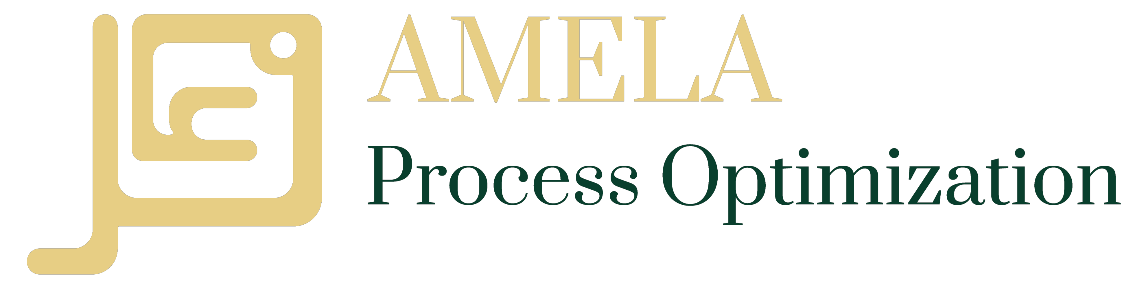 AMELA Process Optimization